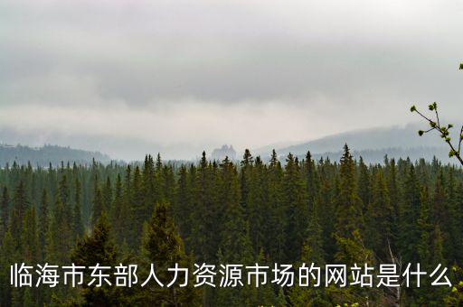 臨海市東部人力資源市場的網站是什么