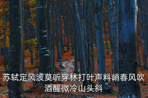 蘇軾定風(fēng)波莫聽穿林打葉聲料峭春風(fēng)吹酒醒微冷山頭斜