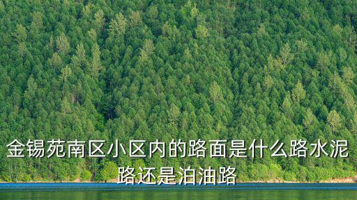 金錫苑南區小區內的路面是什么路水泥路還是泊油路