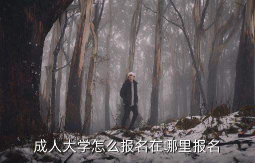 成人大學怎么報名在哪里報名