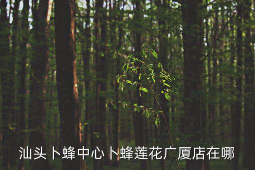 汕頭卜蜂蓮花，汕頭中旅卜蜂蓮花營業時間