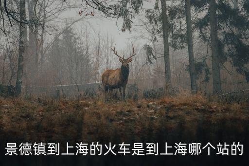 景德鎮到上海的火車是到上海哪個站的