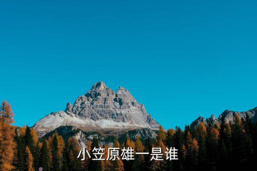 小笠原，小笠原綸子的介紹