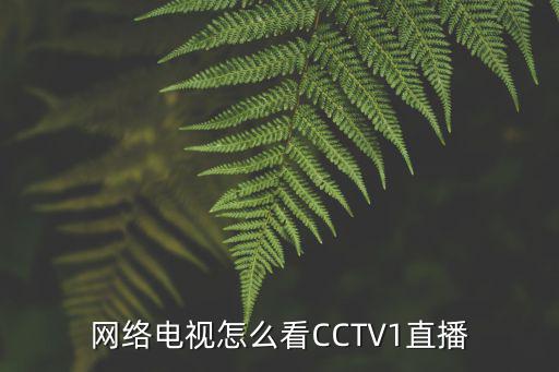 網(wǎng)絡(luò)電視怎么看CCTV1直播