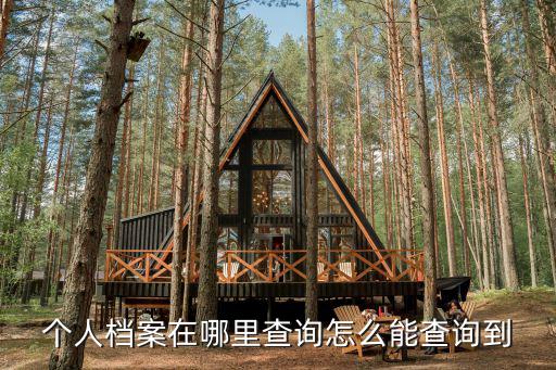 個人檔案在哪里查詢怎么能查詢到