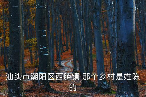 西臚鎮(zhèn)，汕頭市潮陽區(qū)西臚鎮(zhèn) 那個(gè)鄉(xiāng)村是姓陳的