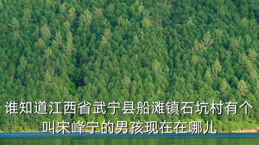 石坑村，梅州石坑鎮有什么特色的東西