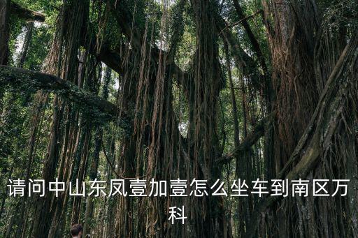 金悅?cè)A庭，金悅?cè)A庭的戶籍街道在哪