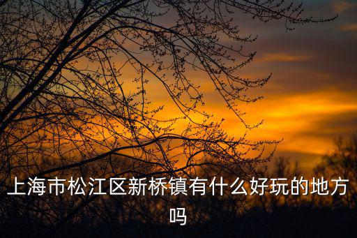上海市松江區新橋鎮有什么好玩的地方嗎