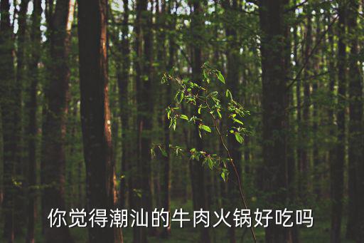 你覺得潮汕的牛肉火鍋好吃嗎