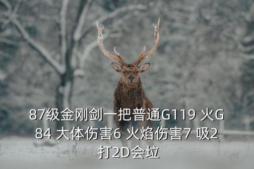 87級金剛劍一把普通G119 火G84 大體傷害6 火焰傷害7 吸2 打2D會垃