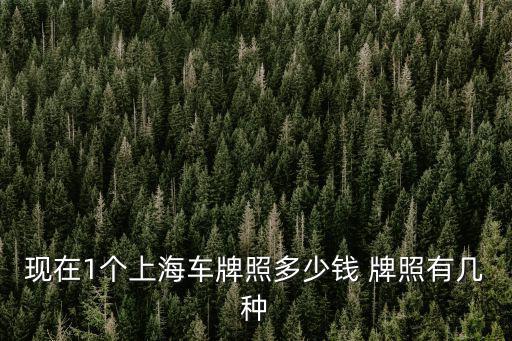 現(xiàn)在1個(gè)上海車牌照多少錢 牌照有幾種