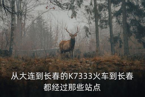 從大連到長春的K7333火車到長春都經過那些站點