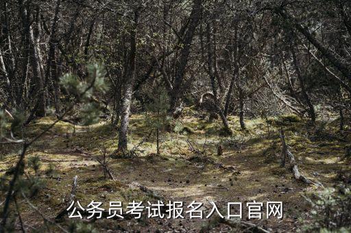 公務員報名入口官網，公務員考試報名入口官網