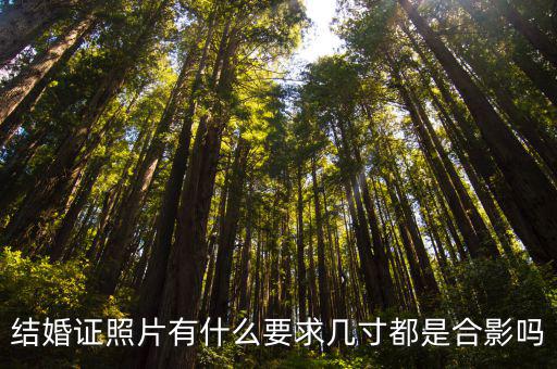 結(jié)婚登記照，結(jié)婚登記照有什么要求