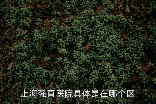上海強直醫院具體是在哪個區