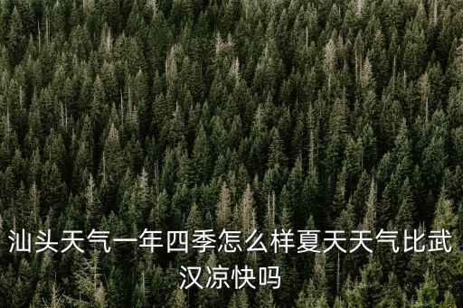 汕頭天氣一年四季怎么樣夏天天氣比武漢涼快嗎