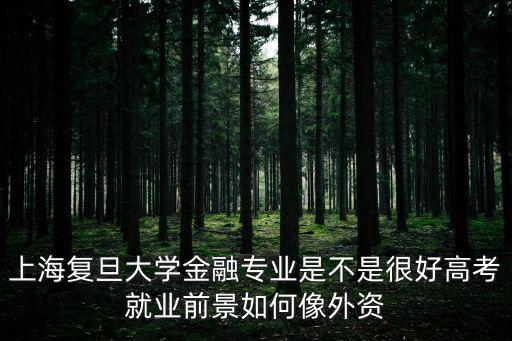 上海復旦大學金融專業(yè)是不是很好高考就業(yè)前景如何像外資