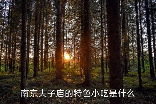 南京夫子廟的特色小吃是什么