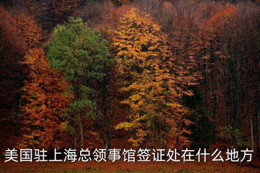 美國駐上海總領事館簽證處在什么地方