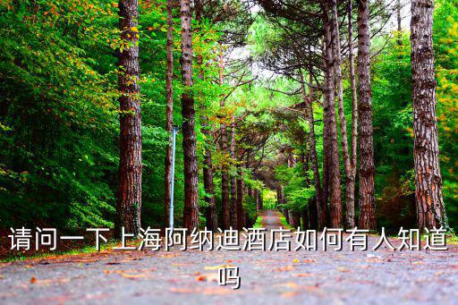 請問一下上海阿納迪酒店如何有人知道嗎