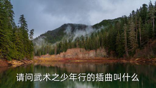 請問武術之少年行的插曲叫什么