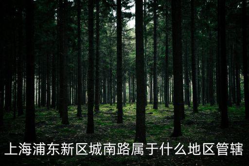 上海浦東新區城南路屬于什么地區管轄