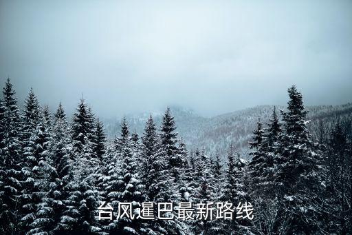 最新臺風路徑，最新臺風實時路徑圖