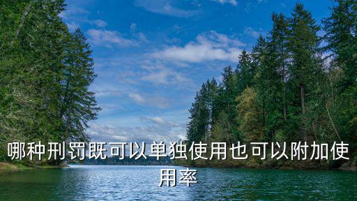 哪種刑罰既可以單獨使用也可以附加使用率