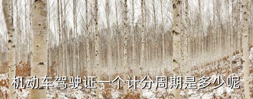 駕照記分周期，駕照一個記分周期是多久