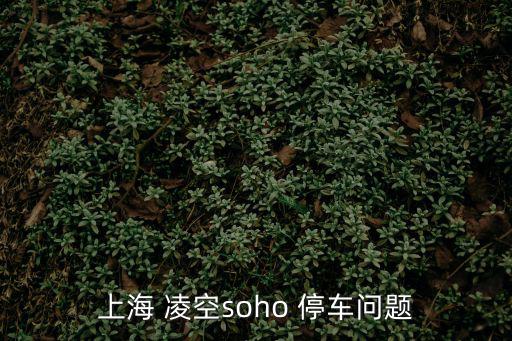 上海 凌空soho 停車問(wèn)題