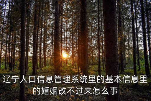 人口信息管理系統，全國人口信息系統