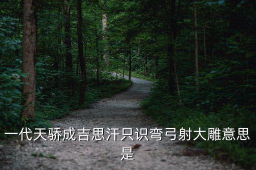 一代天驕成吉思汗只識彎弓射大雕意思是