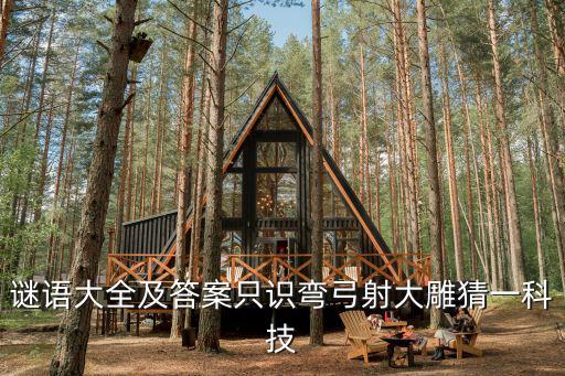 謎語大全及答案只識彎弓射大雕猜一科技
