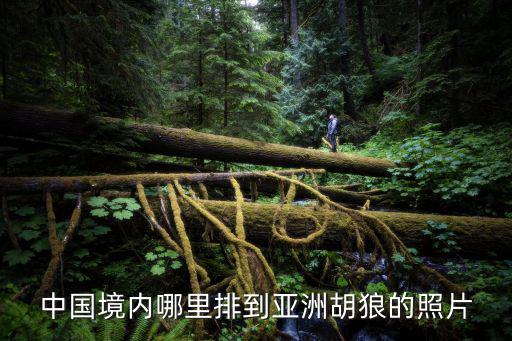 喜馬拉雅美術館，聽書在哪里