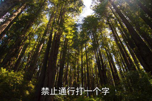 禁止通行打一個字