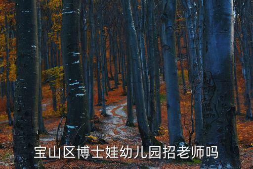 寶山區博士娃幼兒園招老師嗎