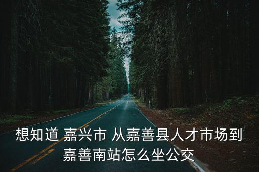 嘉善人才，嘉善人才市場或職業介紹在那里哦