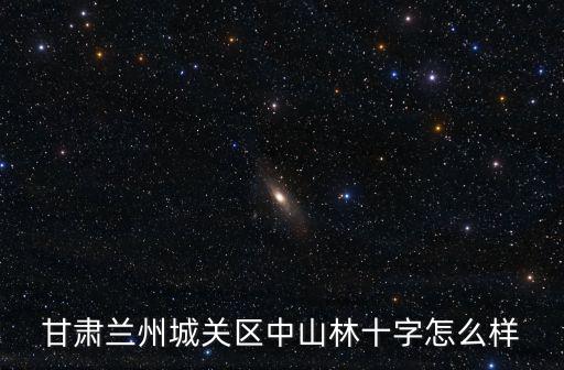 甘肅蘭州城關區中山林十字怎么樣
