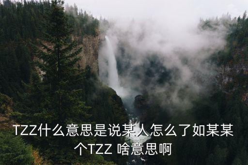 TZZ什么意思是說某人怎么了如某某個TZZ 啥意思啊