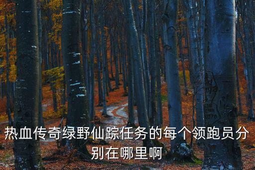熱血傳奇綠野仙蹤任務(wù)的每個(gè)領(lǐng)跑員分別在哪里啊