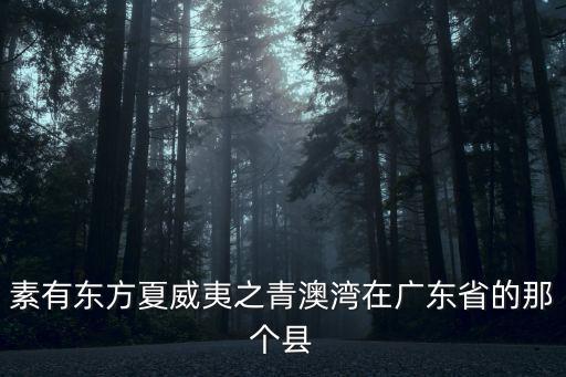 素有東方夏威夷之青澳灣在廣東省的那個縣