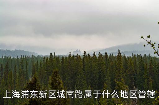 城南路，上海浦東新區城南路屬于什么地區管轄