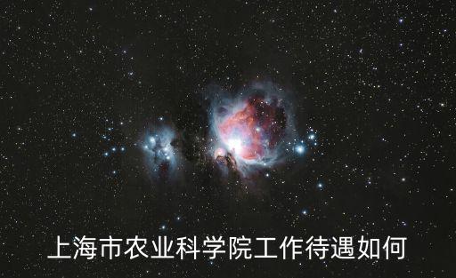 上海市農(nóng)業(yè)科學(xué)院工作待遇如何