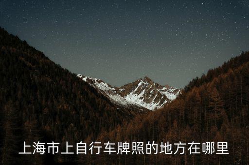 上海市上自行車(chē)牌照的地方在哪里