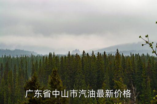 廣東省中山市汽油最新價格