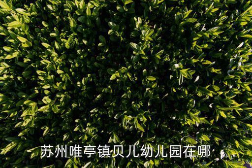 蘇州唯亭鎮貝兒幼兒園在哪