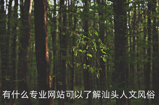 汕頭網(wǎng)頁(yè)，汕頭英華網(wǎng)站