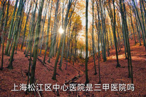 上海松江區中心醫院是三甲醫院嗎