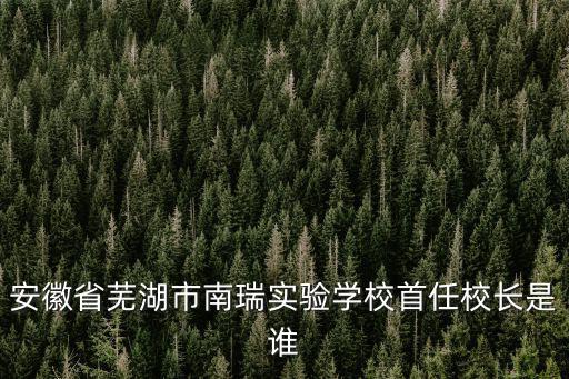 安徽省蕪湖市南瑞實(shí)驗(yàn)學(xué)校首任校長是誰